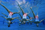 2026年网球青训导师带教档案应用场景扩展与落地报告，网球专业教练